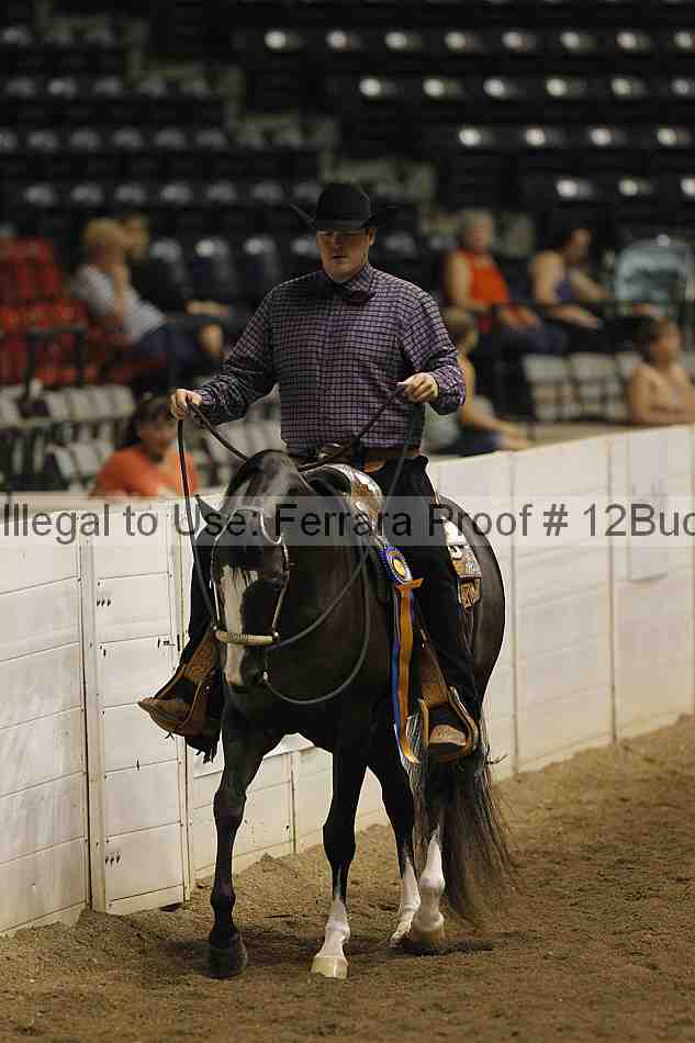 Proof 12buck_5058