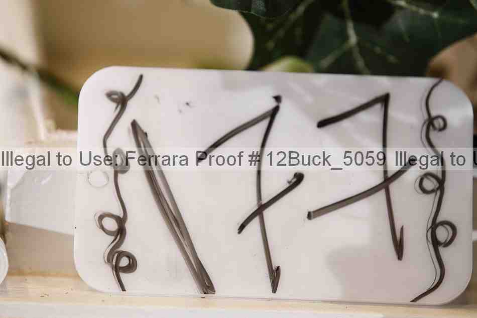 Proof 12buck_5059