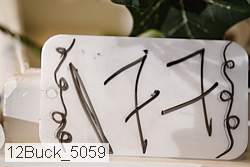 12buck_5059 proof