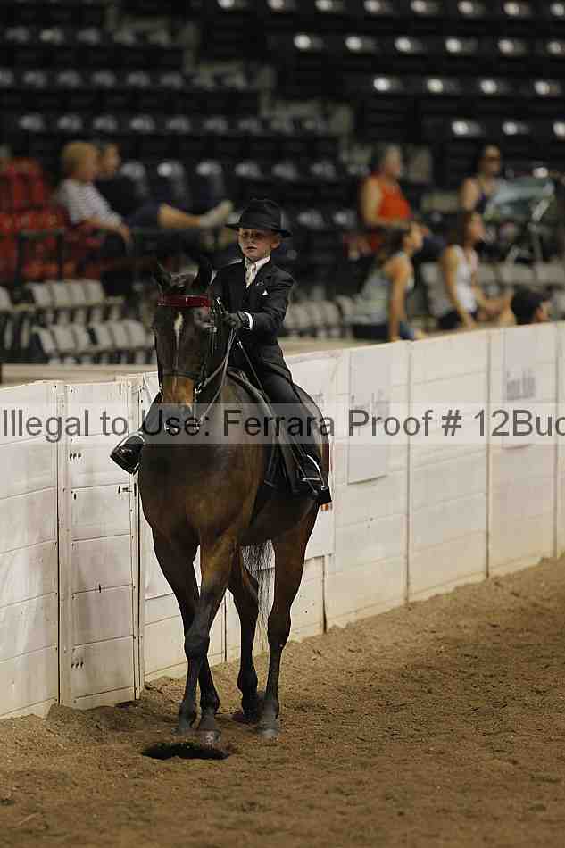 Proof 12buck_5063