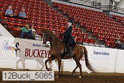 12buck_5065 proof