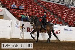 12buck_5066 proof