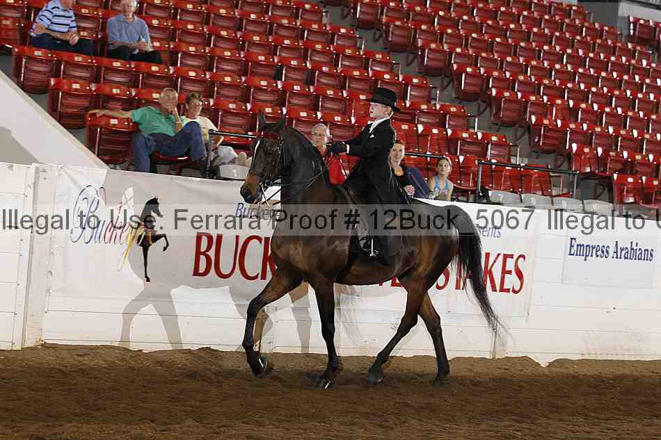 Proof 12buck_5067