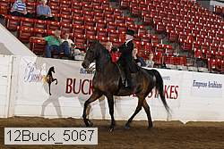 12buck_5067 proof