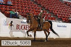12buck_5068 proof