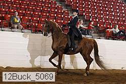 12buck_5069 proof