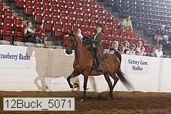 12buck_5071 proof
