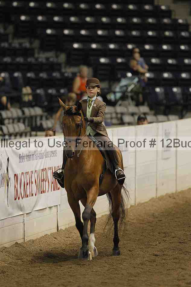 Proof 12buck_5073