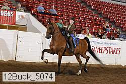 12buck_5074 proof