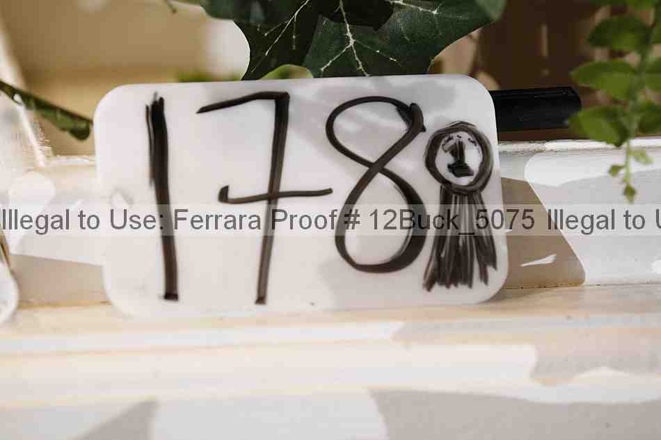Proof 12buck_5075