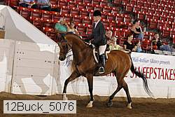12buck_5076 proof