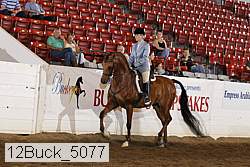 12buck_5077 proof