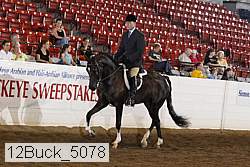 12buck_5078 proof