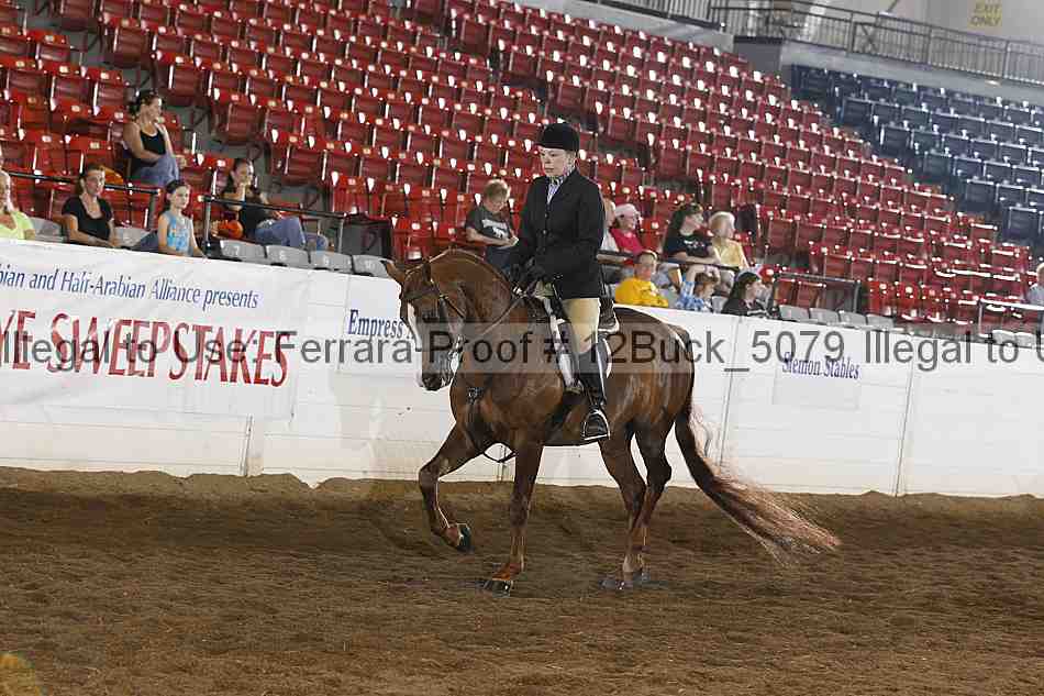 Proof 12buck_5079
