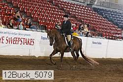 12buck_5079 proof