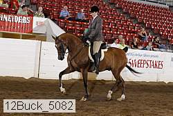 12buck_5082 proof