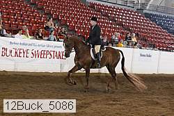 12buck_5086 proof