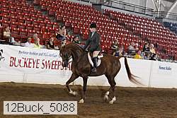 12buck_5088 proof