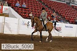 12buck_5090 proof