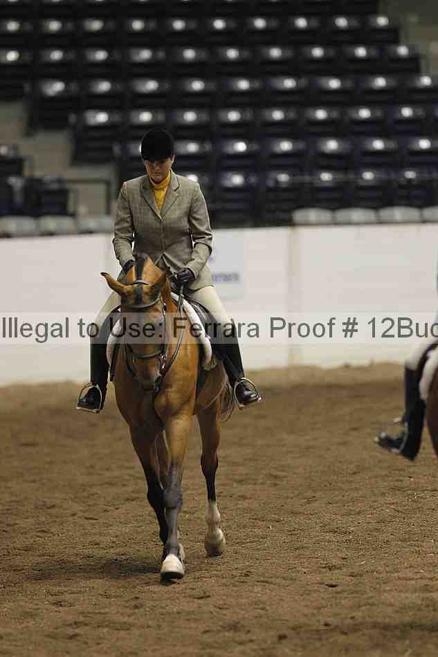 Proof 12buck_5091