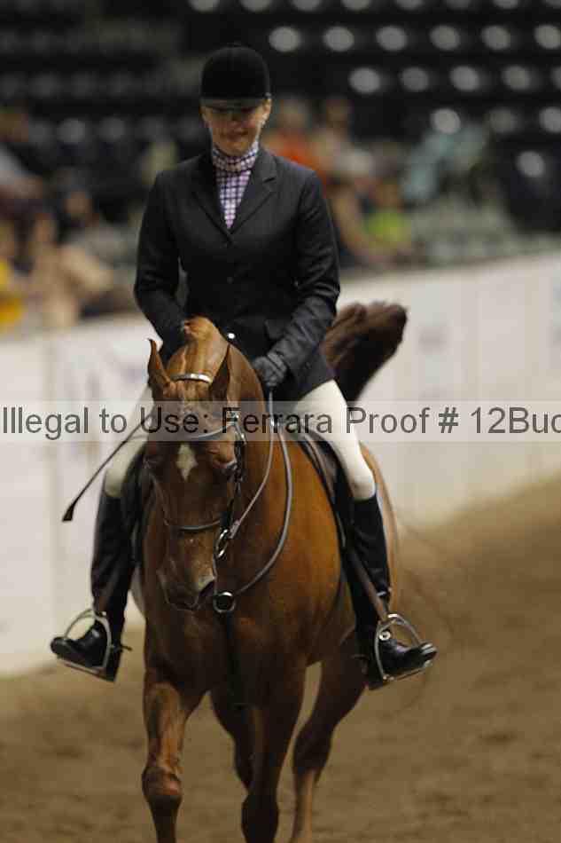 Proof 12buck_5096