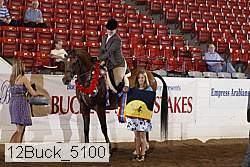 12buck_5100 proof