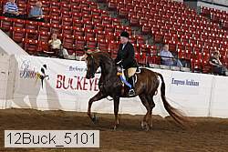 12buck_5101 proof
