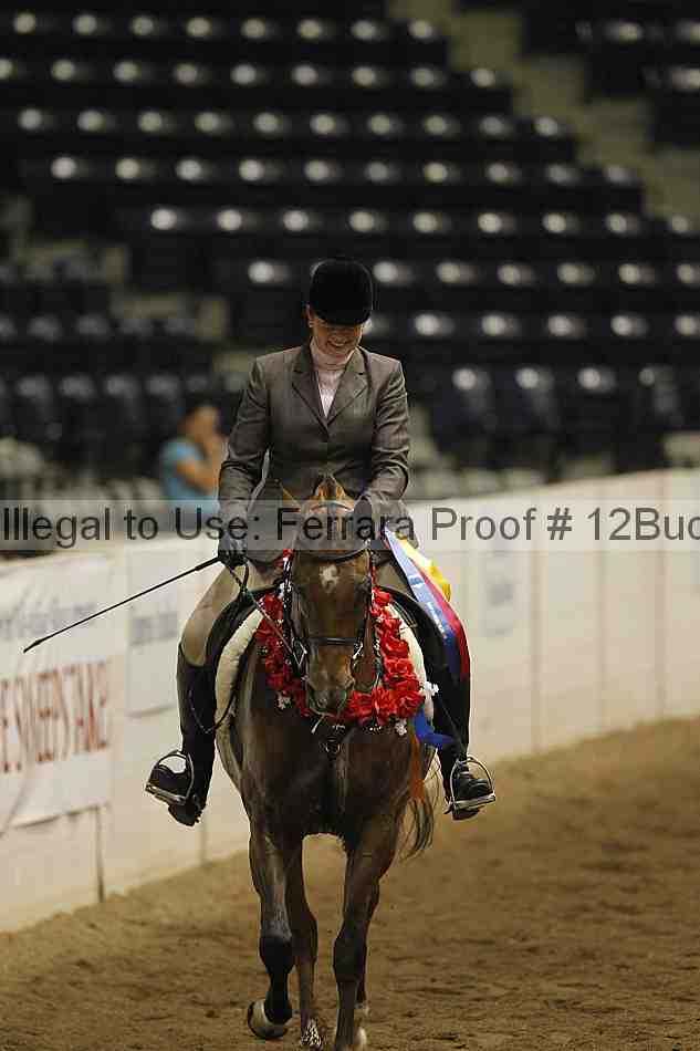 Proof 12buck_5104