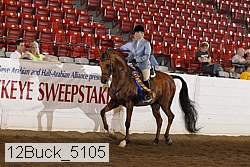 12buck_5105 proof