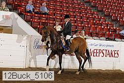 12buck_5106 proof