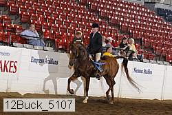 12buck_5107 proof