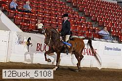 12buck_5108 proof
