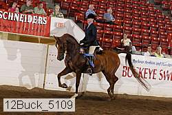 12buck_5109 proof