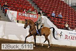 12buck_5110 proof