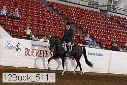 12buck_5111 proof