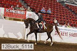 12buck_5114 proof