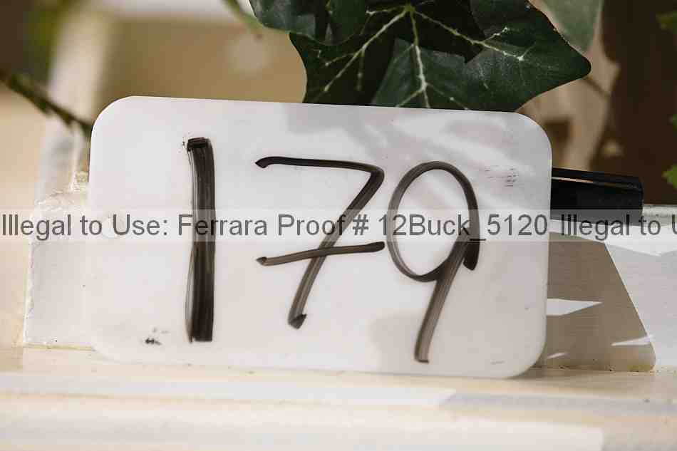 Proof 12buck_5120