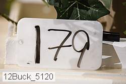 12buck_5120 proof