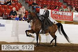 12buck_5122 proof