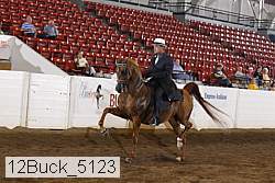 12buck_5123 proof