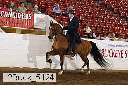 12buck_5124 proof