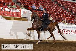 12buck_5125 proof