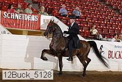 12buck_5128 proof