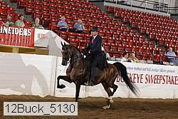 12buck_5130 proof