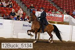 12buck_5134 proof