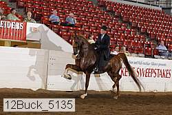 12buck_5135 proof