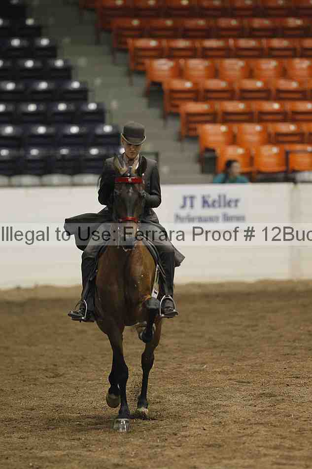 Proof 12buck_5138