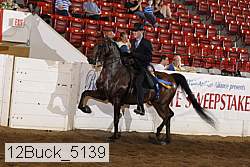 12buck_5139 proof