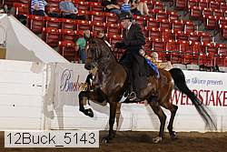 12buck_5143 proof