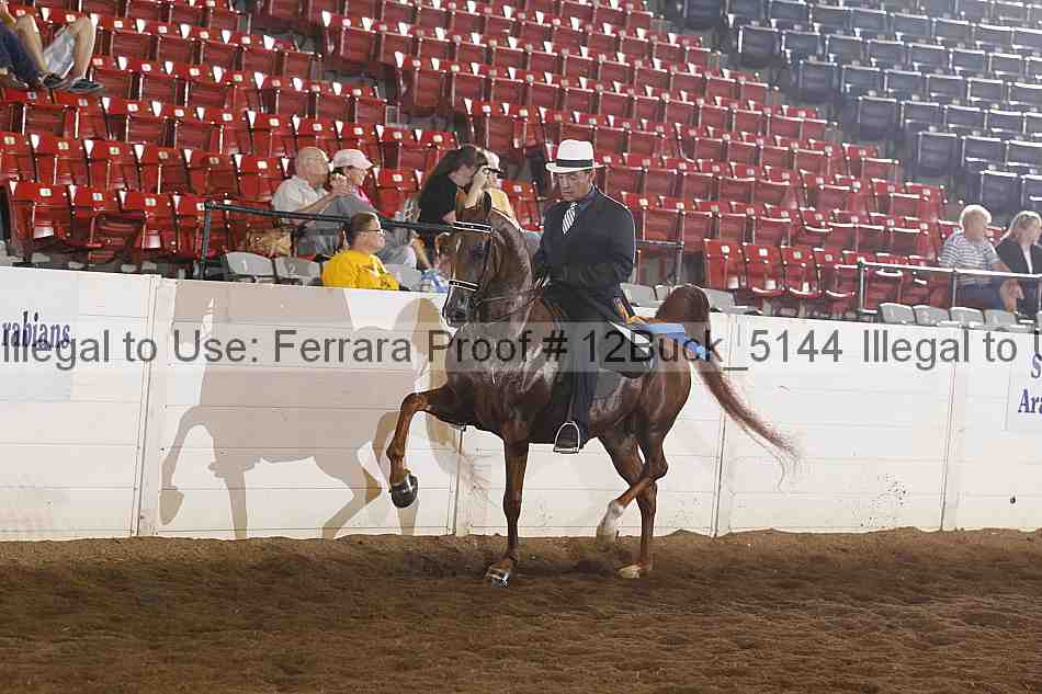 Proof 12buck_5144